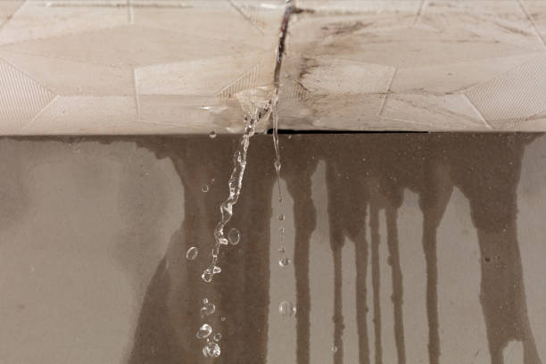 Professional Flood Damage Cleanup technician working in Genoa City, WI